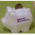 Plastique Piggy Bank (Small)